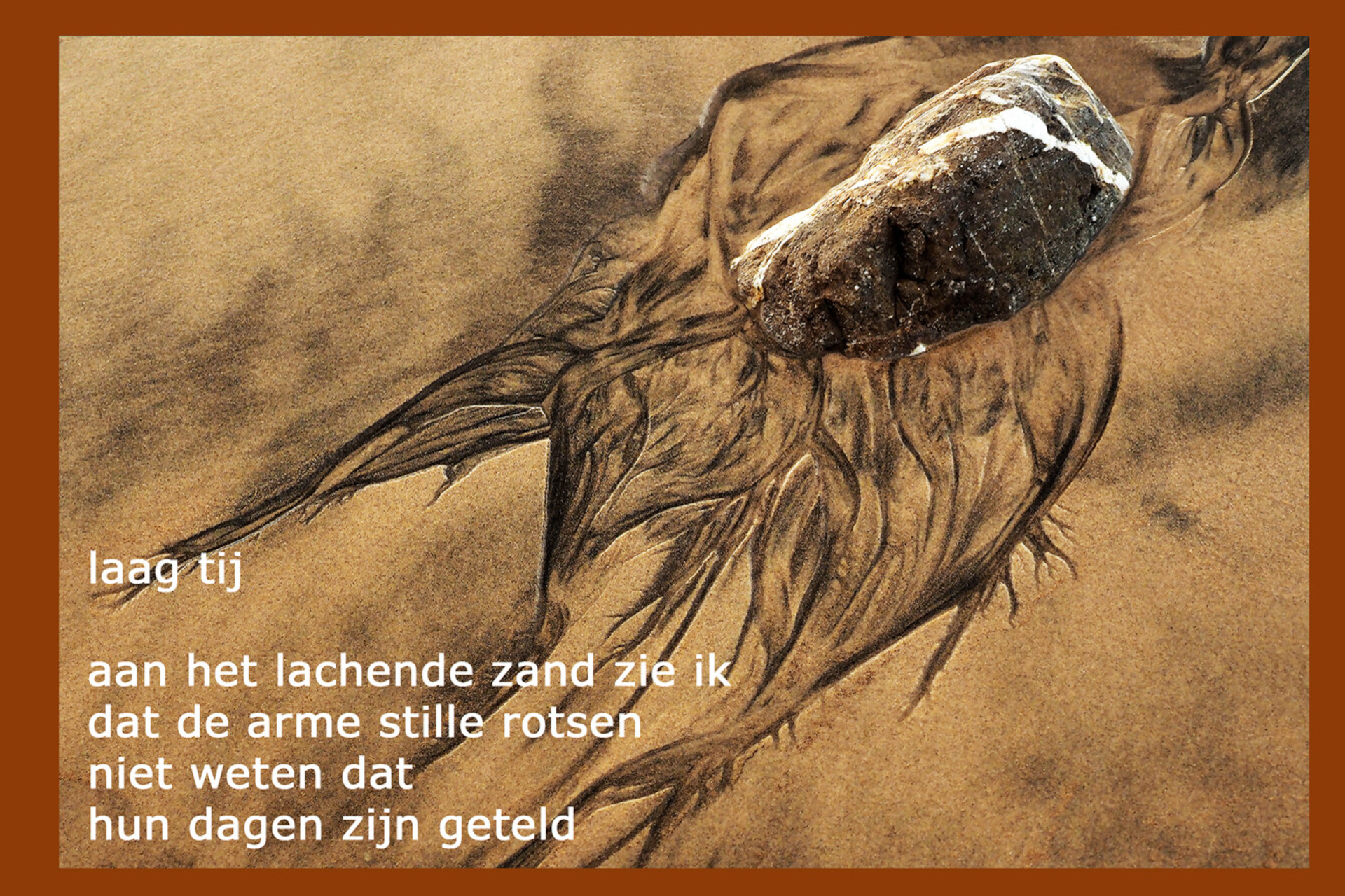 Exposities “sandscapes” en “watersnoodramp”